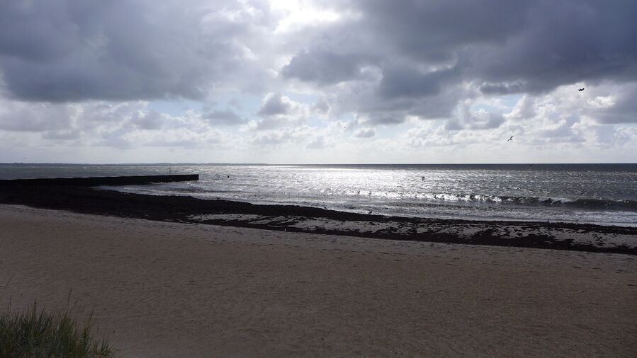 Cloudy sky, sea, and beach